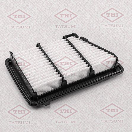 TATSUMI TBC1116